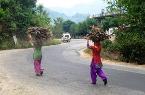 Hardworking Ladies in Uttarakhand