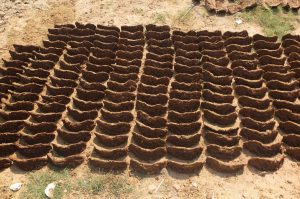 Cowdung Cake to be used as Fuel