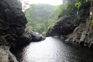 Mynapi Waterfall Source