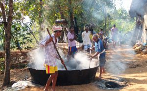 Sugarcane Jaggery Making in Balli Village